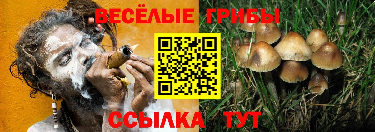 Черняховск  Псилоцибиновые грибы мицелий  Вход с VPN 